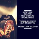 Vicetone & Sultan and Ned Shepard & Bruno Mars - Tremble Locked Out of Heaven (Andy Stark Mash Up)