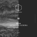 Mesa - Final Ascention (Original mix)