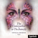 Veroferk - The Caterpillar or The Butterfly (Xian Remix)