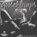 Travis Skoott - Goosebumps