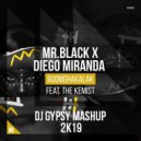 Diego Miranda, Mr.Black, The Kemist - This Is Boomshakalak Party (DJ Gypsy Mashup 2K19) ()