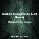 Rodion Suleymanov & DJ Rostej - Перелётные птицы (Original Mix)