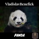 Vladislav Benefick - The Music Revolution