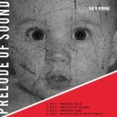 Prelude Of Sound - Analog Child (DTST Remix)