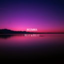 Decay & Relay - Insomnia
