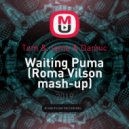 Tom & Jame & Dannic - Waiting Puma