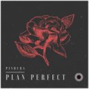Pindura - Plan Perfect (Original Mix)