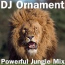 DJ Ornament - Powerful Jungle Mix ()
