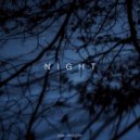 Brashkovsky - Night