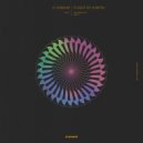 K.Oshkin - Flight of a Moth