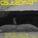 Calvin Harris & Rag’n’Bone Man - Giant
