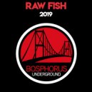 Raw Fish - 2019 (Original Mix)