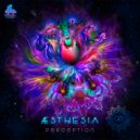 Aesthesia - Moment Of Silence (Original Mix)