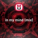 zir - in my mind ()