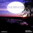 Vaughan Phillips - Flatlined (Re Loaded)