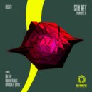 Stiv Hey & Mr Bizz - Symbiosis (M. Bizz Remix)