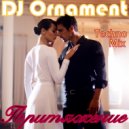 DJ Ornament - Притяжение