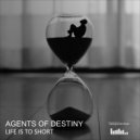 Agents Of Destiny - Tempero Brasileiro