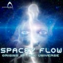 Spacey Flow - Subliminal Message (Original Mix)