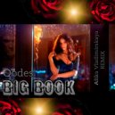 Qodes - Big Book (Alika Vladimirskaya RMX) ()