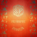 Polymorphic - Boom (Original Mix)