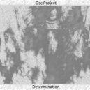 Osc Project - Determination
