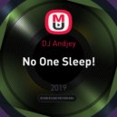 DJ Andjey - No One Sleep!