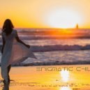 Ter_Min - Enigmatic Chill vol.3 ()