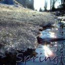Ter_Min - Springtime ()