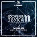 Dj Shaper - Форма Звука 11