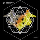 Hernan Paredes - Stronger