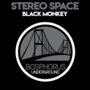 Stereo Space - Bobachok