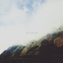 Pato - Orchid