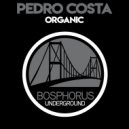 Pedro Costa - Bugs (Original Mix)