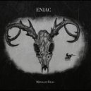 Eniac - Metallic Cells