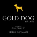 Giorgio Castallare - Cosmic Collor ()