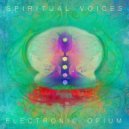 Electronic Opium & Octavian Boca - Unveiled ()