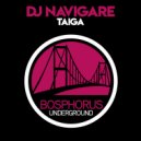 DJ Navigare - Are You Fuck In Deal (Original Mix)