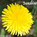 Pseudo Ra & Sahar & Yade Diaz - Sunshine (feat. Sahar & Yade Diaz) (Original Mix)