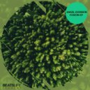Angel Evenson - D Tox (Original Mix)