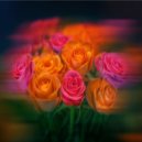 Dj Vl Raccoon - Spring statuses