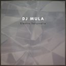 Dj Mula - Electro Saturnalia