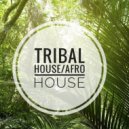 The Funky Groove - Afro House/ Tribal House hot mix ()
