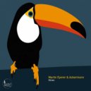 Martin Eyerer, Ackermann - Linearity (Austen/Scott Remix)