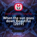 David Guetta vs Tony Ray - When the sun goes down Beautiful (soundholics mashup)