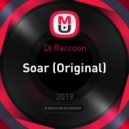 Dj Vl Raccoon - Soar (Original)