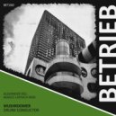 Mushroomer - Drunk Conductor (Alexander Dee Remix)