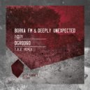 Borka FM & Deeply Unexpected - 2@35 (T.R.O. Remix)