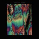 Darlyn Vlys - Runner (TS Vocoder Mix)