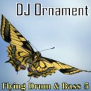 DJ Ornament - Flying Drum & Bass 5 ()